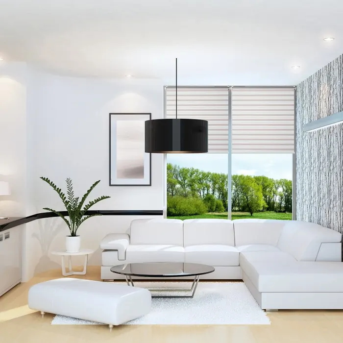 Living room window dressed with a slatted blind